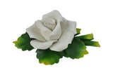 Capodimonte 7" Inch Italian Handmade Ceramic White Rose with Leaves